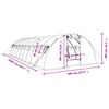vidaXL Greenhouse with Steel Frame Green 40 m² 10x4x2 m