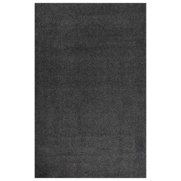 vidaXL Shaggy Rug High Pile Anthracite 200x290 cm