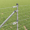 Product Thumbnail Image 4 of 16