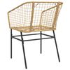 vidaXL Garden Chairs 2 pcs Brown Poly Rattan