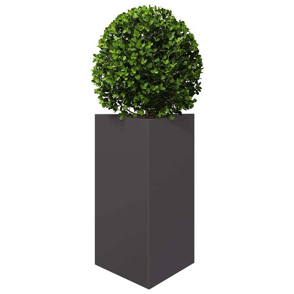 Showing Product Image 4 of 12