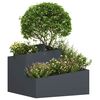 Product Thumbnail Image 3 of 9