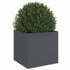 Product Thumbnail Image 4 of 11