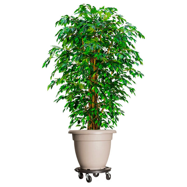 Showing Product Image 2 of 8