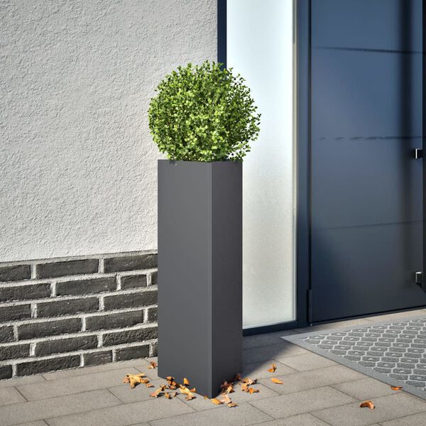 Showing Product Image 2 of 12