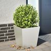 Product Thumbnail Image 2 of 10