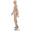 Product Thumbnail Image 3 of 10
