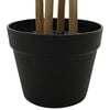 Product Thumbnail Image 4 of 5