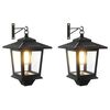 vidaXL Wall Mount Lamp with LED Bulb 2 pcs Black 19 x 14 x 25 cm
