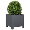 Product Thumbnail Image 4 of 12
