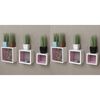 vidaXL Wall Cube Shelves 6 pcs White and Pink