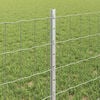 Product Thumbnail Image 4 of 7