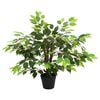 Product Thumbnail Image 3 of 6