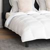 vidaXL Duvet Set with Pillow 3 pcs White Down Feather