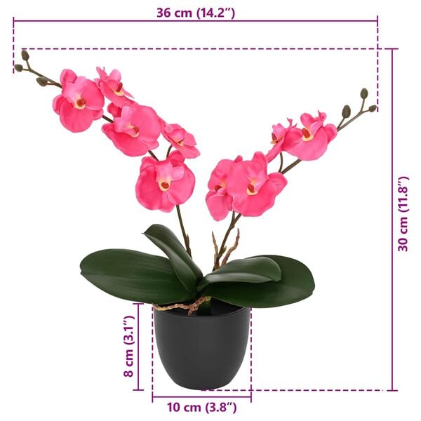 Showing Product Image 4 of 4