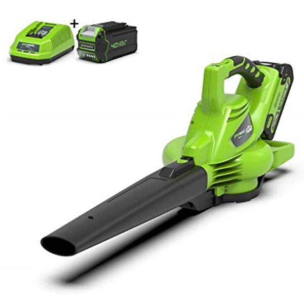 Greenworks Handle Lawn Vacuum 40 V Green
