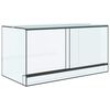 vidaXL Terrarium with Storage Transparent 80 x 40 x 40 cm Glass