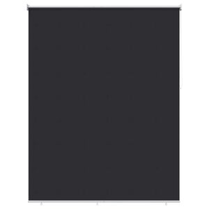 vidaXL Outdoor Roller Blind UV Protection Anthracite 180 x 140 cm