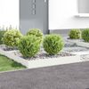 Product Thumbnail Image 2 of 9