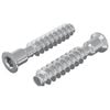 vidaXL Head Cap Screw 2 pcs Silver M7 x 40 mm Steel