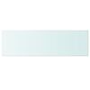 vidaXL Shelf Panel Glass Clear 100x30 cm