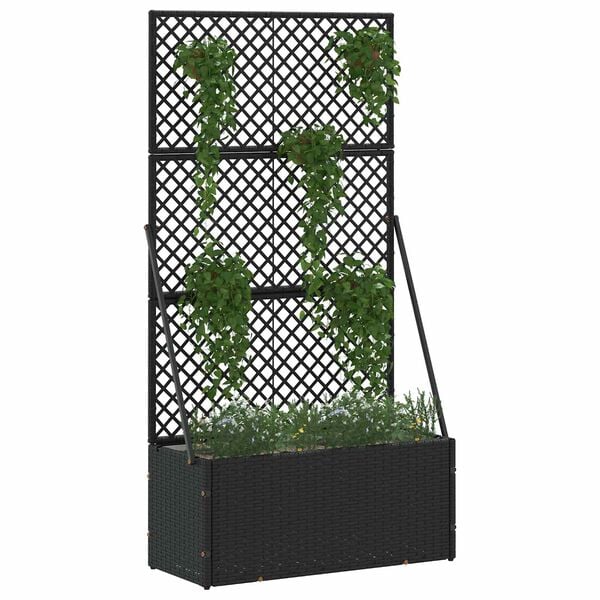 Showing Product Image 2 of 8