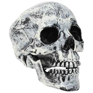 vidaXL Halloween Skull SPOOKA 2 pcs White 12 x 15 x 17.5 cm Plastic