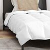 vidaXL Summer Duvet with Pillow 2 pcs White Down Feather