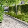 Product Thumbnail Image 2 of 10