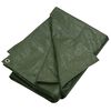 vidaXL Tarpaulin 180 g/m&sup2; 4x4 m Green HDPE