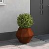 Product Thumbnail Image 2 of 12