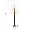 Product Thumbnail Image 7 of 7