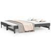 vidaXL Pull-out Day Bed without Mattress Grey 2x(100x200) cm