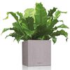 LECHUZA Planter Canto Color Square 40 ALL-IN-ONE Grey 13720