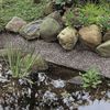 Product Thumbnail Image 2 of 5