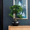Emerald Artificial Ficus Mini Bonsai Green 47 cm 420006