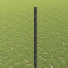 Product Thumbnail Image 4 of 14