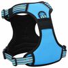vidaXL Dog Harness with Lead & Collar Adjustable Blue M