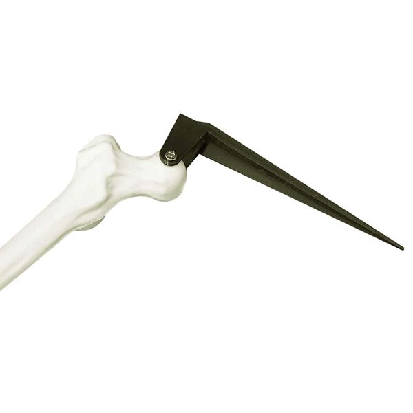 vidaXL Halloween Skeleton with Ground Spikes White 45.5 x 13 cm