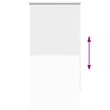 Roller Blind Blackout 60 x 120 cm White