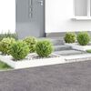 Product Thumbnail Image 2 of 9