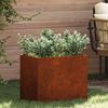 Product Thumbnail Image 2 of 12