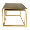 HSM Collection 2 Piece Coffee Table Set Square Gold