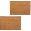 vidaXL Doormats 2 pcs Coir 24 mm 40x60 cm Natural