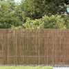 Product Thumbnail Image 2 of 5