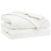 vidaXL Duvet FULDA 220 x 260 cm 4 Seasons 310 GSM 90% Goose Down White