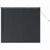 vidaXL Window Blind with Curtains Manual Black Aluminium