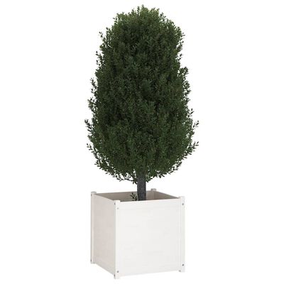 vidaXL Garden Planter White 60x60x60 cm Solid Pinewood