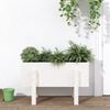 vidaXL Garden Planter White 62x30x38 cm Solid Wood Pine