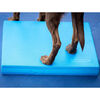 FitPAWS Pet Balance Pad 38x46x5 cm Blue